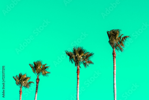 Row of palm trees at  beach in tropical location against brilliant neon green sky. © Heidi