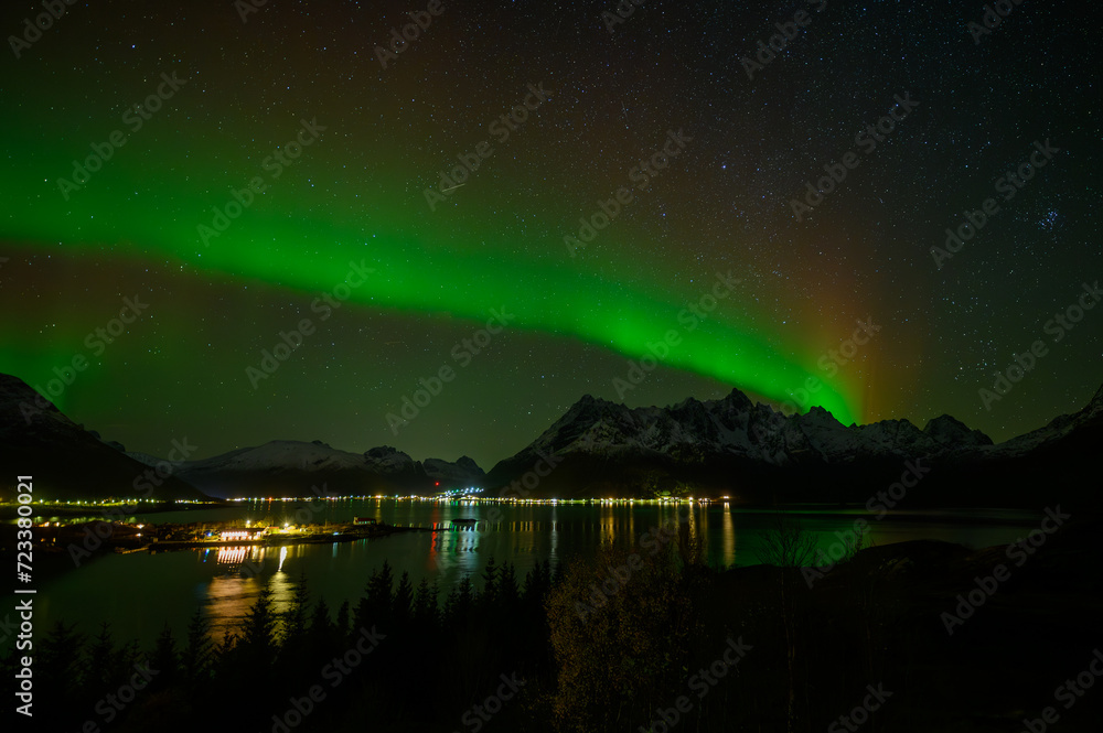 Austnesfjorden Northern Lights