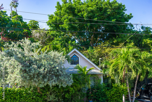 Key West Housefront with Trees photo