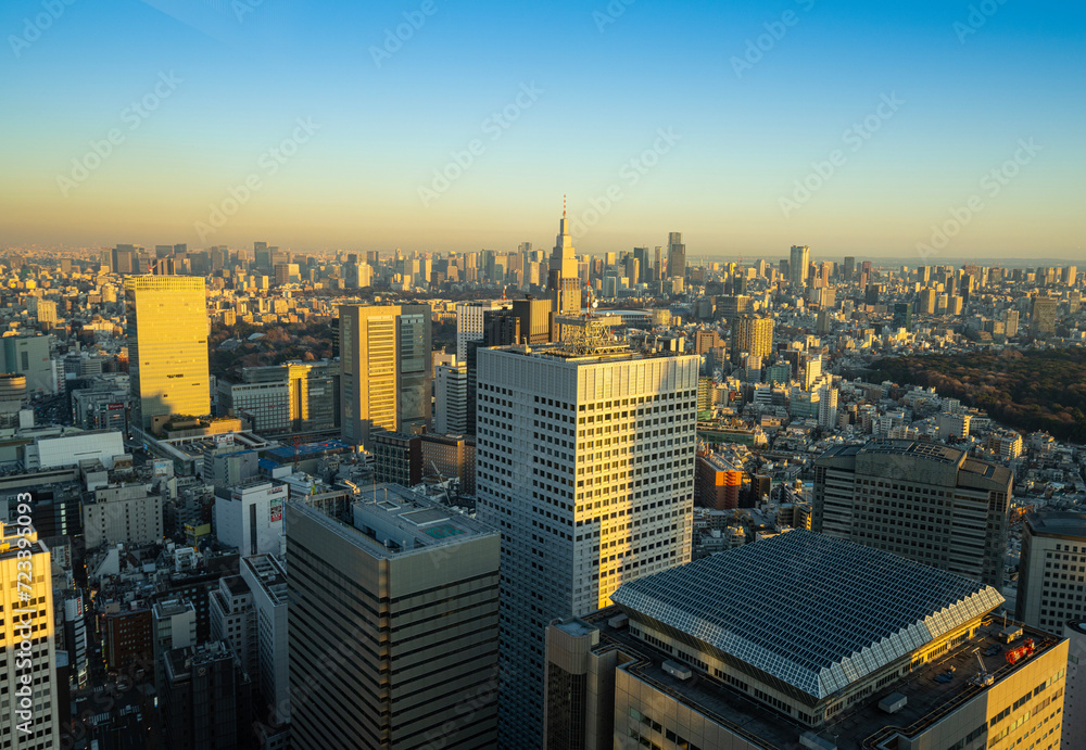 Fototapeta premium The panorama of Tokyo, Japan