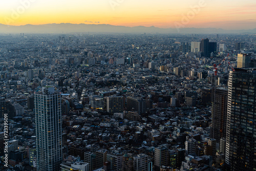 Fototapeta Naklejka Na Ścianę i Meble -  The panorama of Tokyo, Japan