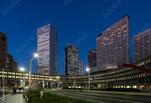 Skyscrapers panorama at sunset in Tokyo, Japan © Sergio Delle Vedove