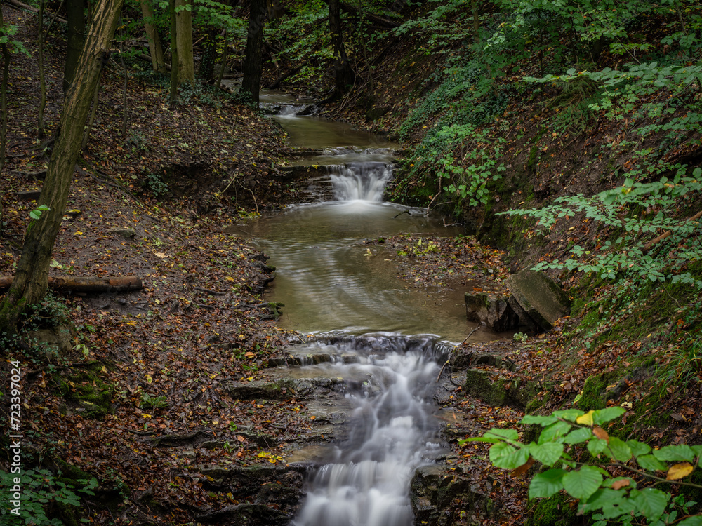 Obraz premium The waterfall in green forest