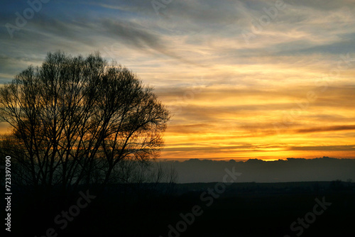 sunset over the field