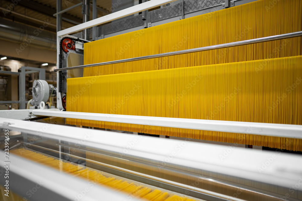 spaghetti production line - ecological modern food factory