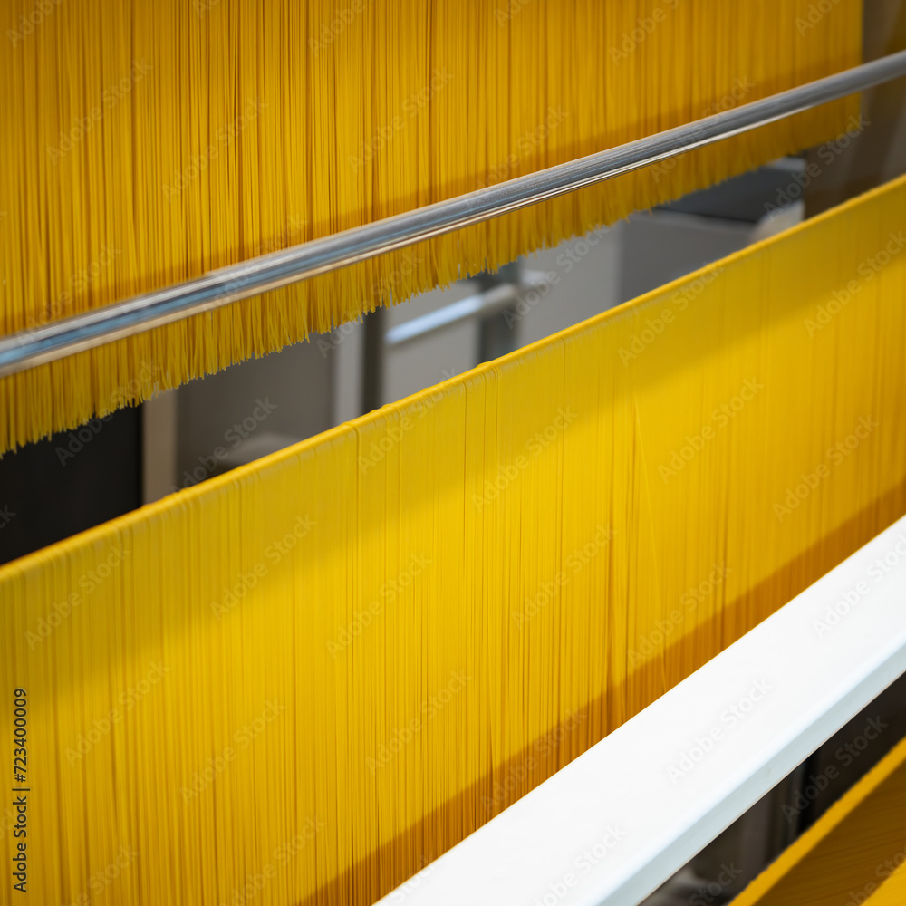 spaghetti production line - ecological modern food factory