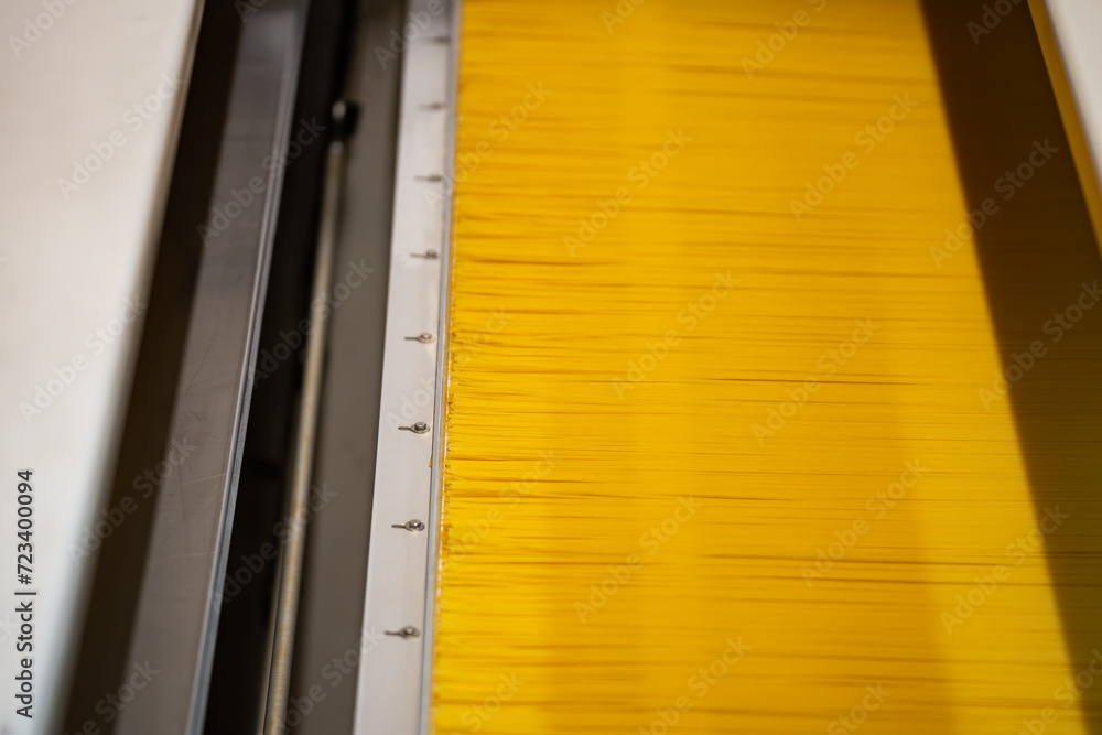 spaghetti pasta production - food factory