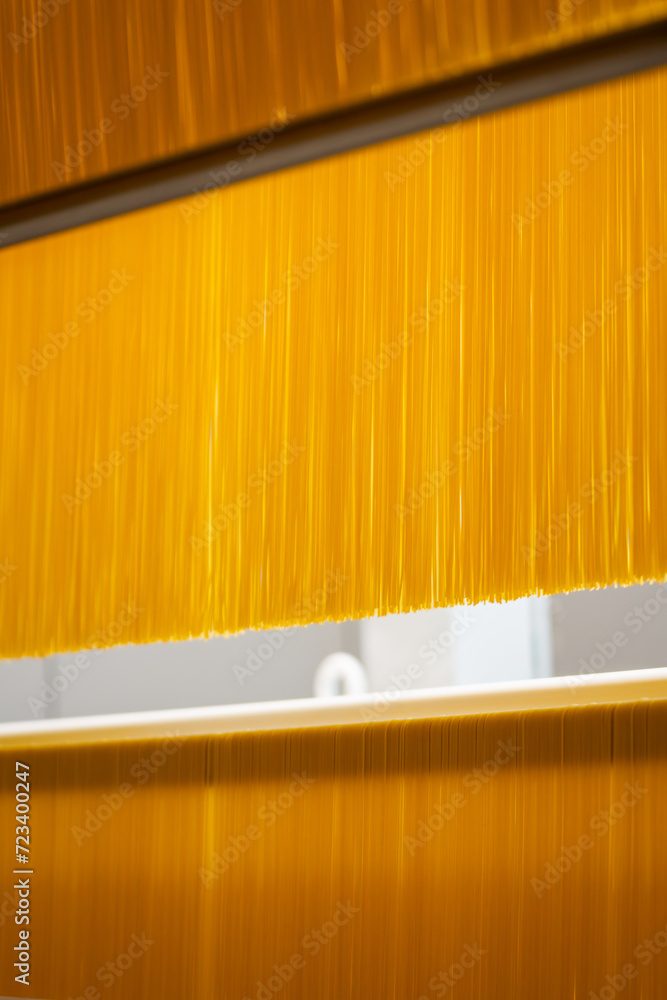 spaghetti production line - ecological modern food factory