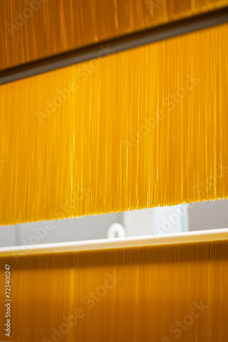 spaghetti production line - ecological modern food factory