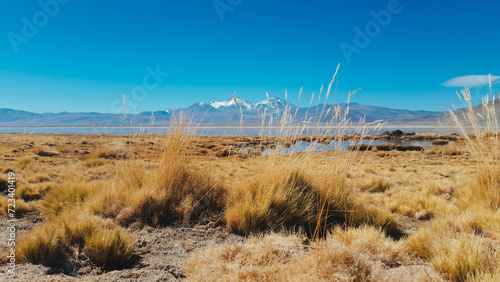 Laguna y volcán Ojos del salado