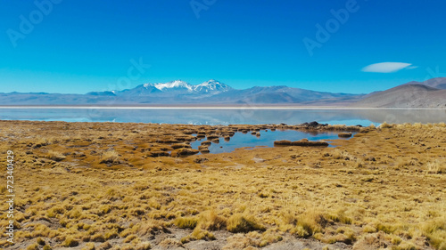 Laguna y volcán Ojos del salado