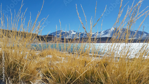 Laguna y volcán Ojos del salado
