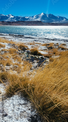 Laguna y volcán Ojos del salado