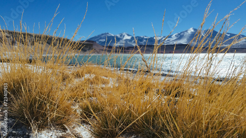 Laguna y volcán Ojos del salado