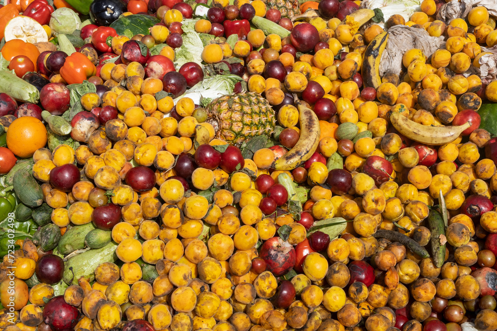 Expired Organic bio waste. Biodegradable waste a mix of