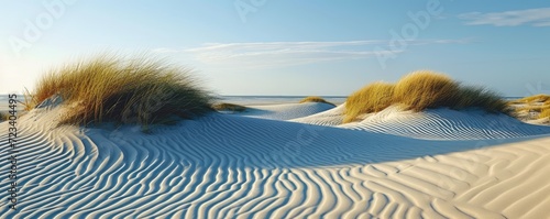 Sand dunes at North sea beach