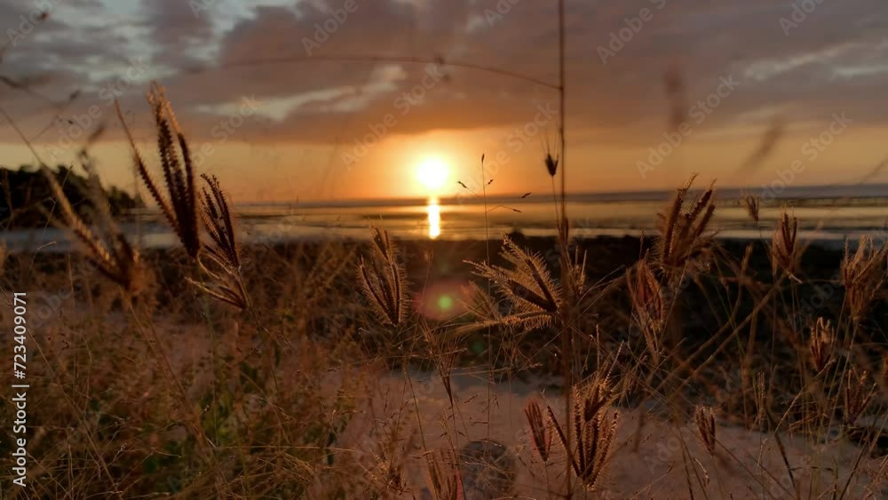 Sunset on low tide time. Sunset at the sea