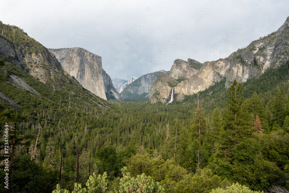 Bridalveil Falls Tumbles into Valley Full of Pine Trees in Yosemite