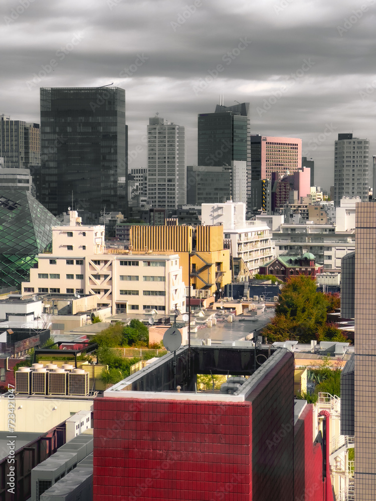 Tokyo city, downtown city state country