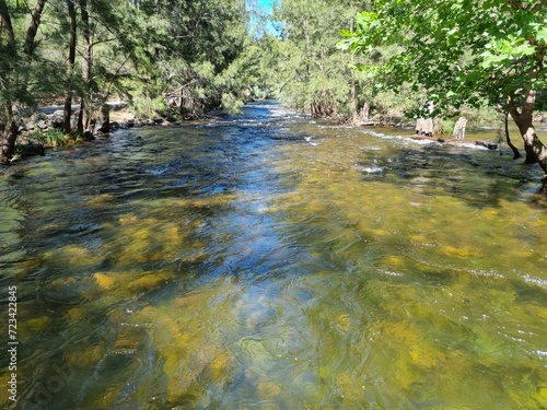 Cotter River in the Australian Capital Territory ACT Australia. Gently flowing river with tree lined banks photo