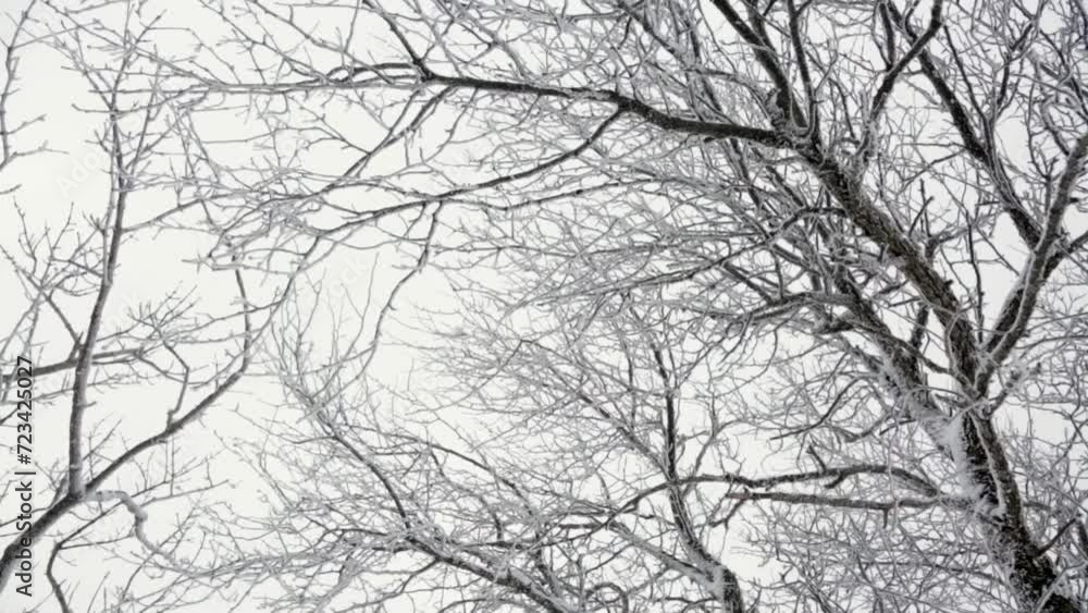 Beautiful scenery of mountains and forests in Korea with heavy snow Beautiful scenery of mountains and forests in Korea with heavy snow