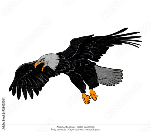 American bald eagle. Illustration of a Bald Eagle isolated on a white background, Vector art. Realistic African Fish Eagle swoop attack hand drawn. Realistic Vector Fur.
