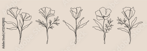 Flower Line Art Set | Floral Vector Bundle | Botanical Nature Designs photo