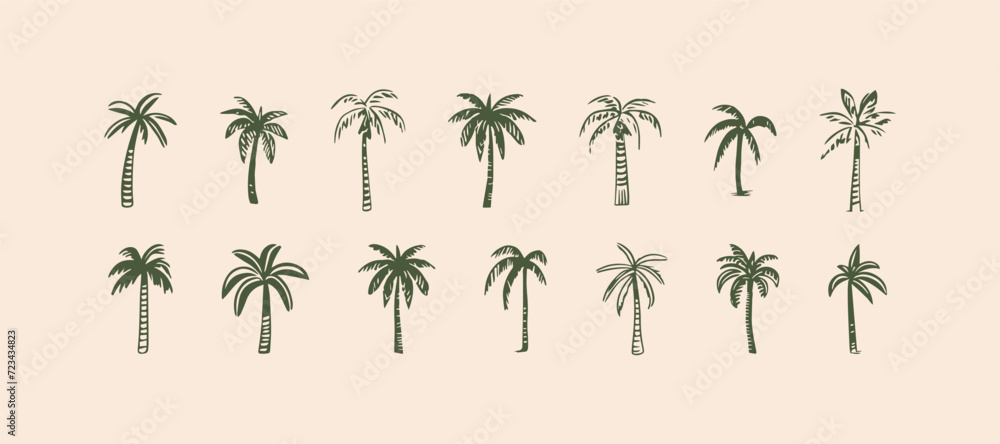 Hand drawn palm tree doodle element set. Green hawaiian clipart, isolated summer vacation collection in vintage art style. Tropical plant painting illustration bundle.