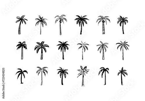 Hand drawn palm tree doodle element set. Black and white hawaiian clipart, isolated summer vacation collection in vintage art style. Tropical plant painting illustration bundle.