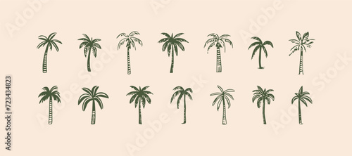 Hand drawn palm tree doodle element set. Green hawaiian clipart, isolated summer vacation collection in vintage art style. Tropical plant painting illustration bundle. photo