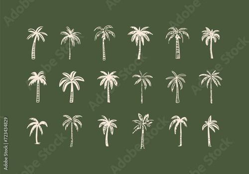 Hand drawn palm tree doodle element set. Colorful hawaiian clipart, isolated summer vacation collection in vintage art style. Tropical plant painting illustration bundle.