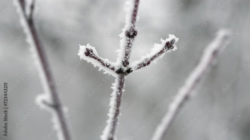 Beautiful scenery of mountains and forests in Korea with heavy snow Beautiful scenery of mountains and forests in Korea with heavy snow
