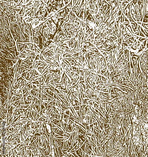 texture overlay pine needles effect