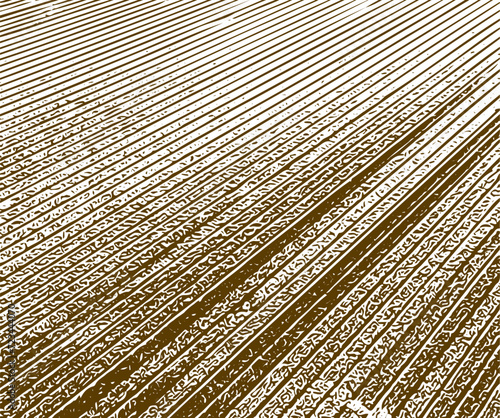 textured overlay crop rows effect