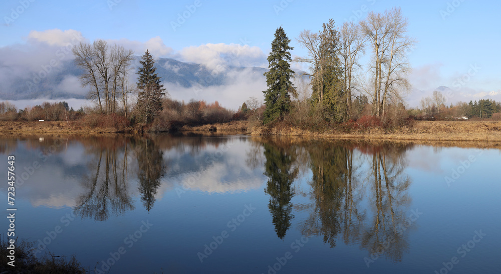 Trees reflected in peaceful pond early winter