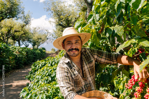 Farmer harvesting coffee on a plantation in Guatemala. 