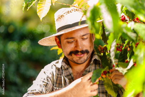 Farmer collecting coffee beans in the Central American mountains.