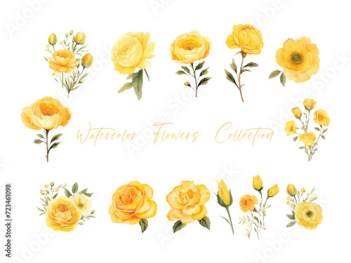 set water color flowers, color yellow very detailed, which is suitable for white background wedding templates