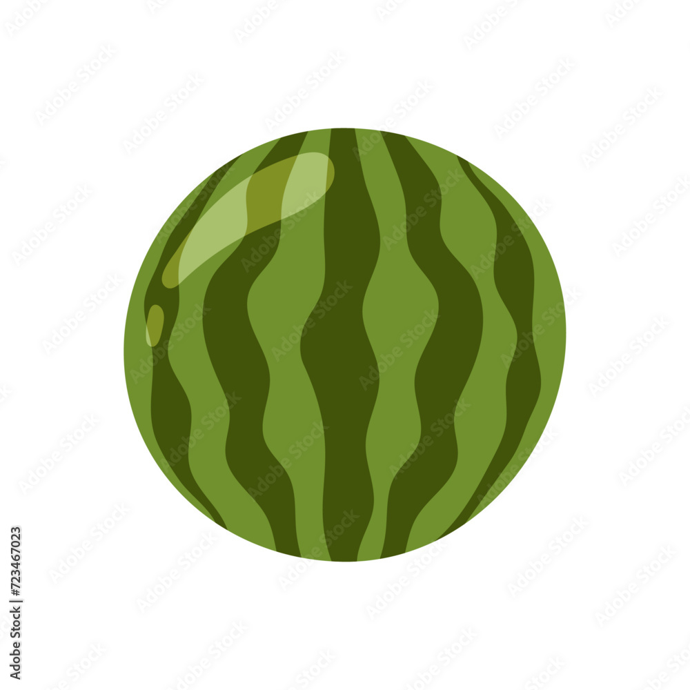 Vector a whole watermelon on a white background Vector a whole watermelon on a white background