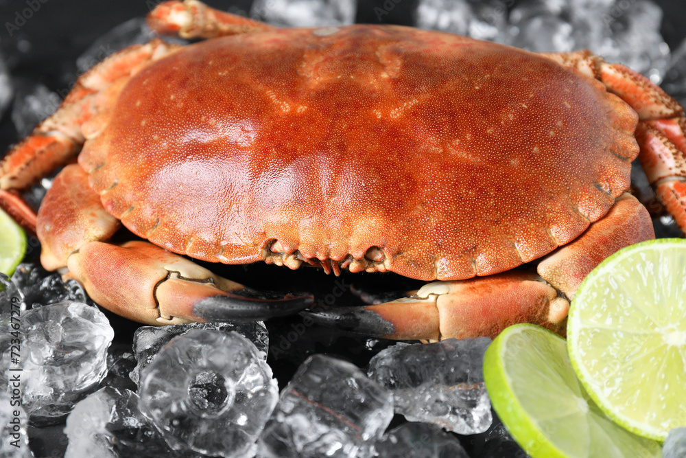Delicious boiled crab, lime and ice on black table, closeup Delicious boiled crab, lime and ice on black table, closeup