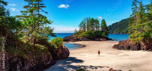 Canadian Nature Landscape on the West Coast of Pacific Ocean. Sandy Beach. Background Panorama.