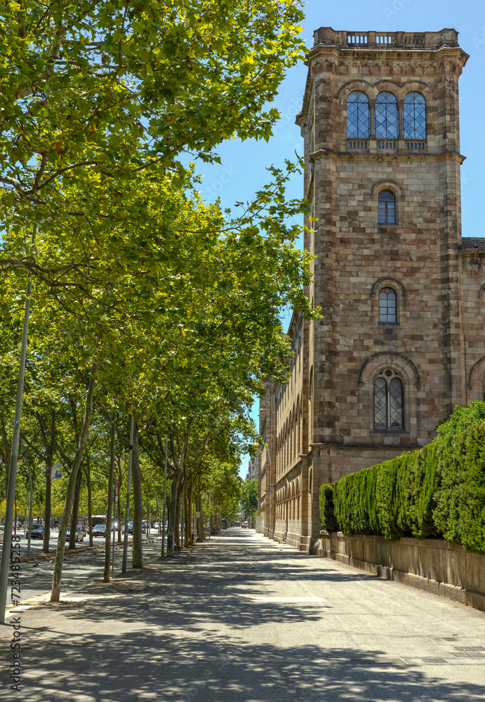 An empty street with historic and classic European buildings and lush green trees in the summertime in Spain. Barcelona from the streets cityscape and walking around. Sunny beautiful travel day. An empty street with historic and classic European buildings and lush green trees in the summertime in Spain. Barcelona from the streets cityscape and walking around. Sunny beautiful travel day.