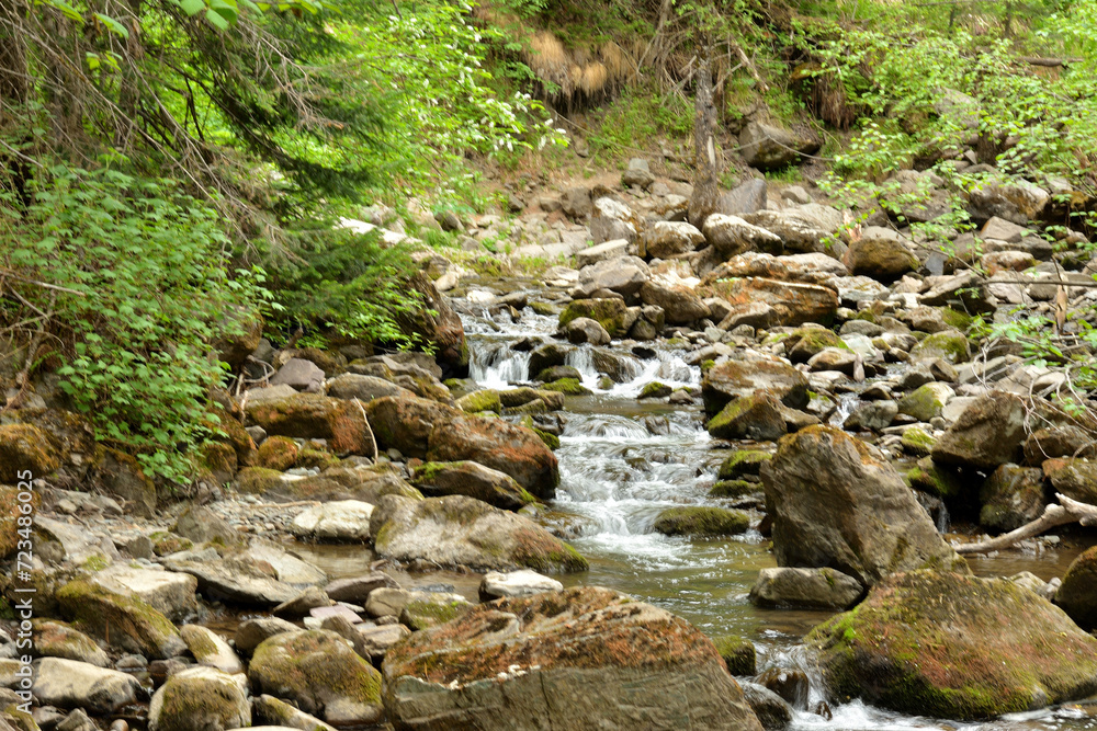 A small river flows down from the mountains in a stormy cascade of waterfalls through a dense summer forest. A small river flows down from the mountains in a stormy cascade of waterfalls through a dense summer forest.