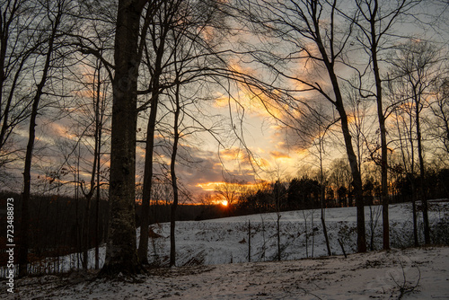 sunset in the snowy woods