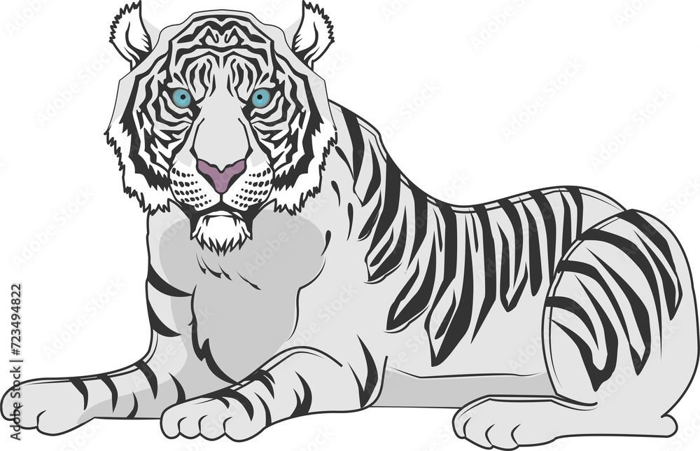 虎（Tiger）(PNG)