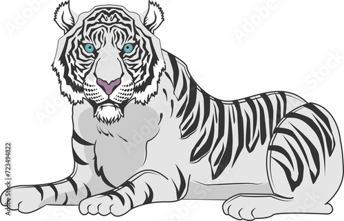 虎（Tiger）(PNG) © Saito.