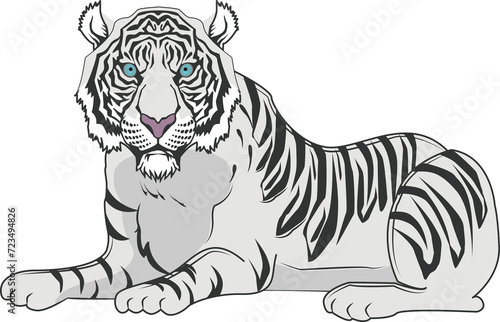 虎（Tiger） © Saito.