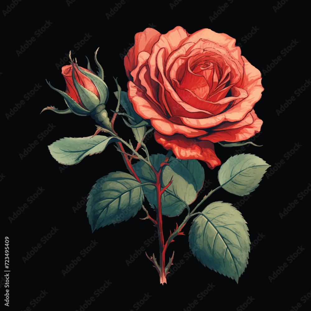Fototapeta premium Art & Illustrationvector illustration of red roses with a black background for logos or other graphic design needs