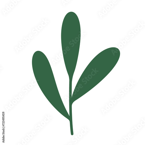 Green leaves isolated on white background. Hand drawn png illustration of sprig. No background 