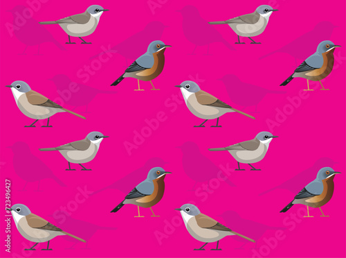 Bird Whitethroat Warbler Cute Seamless Wallpaper Background